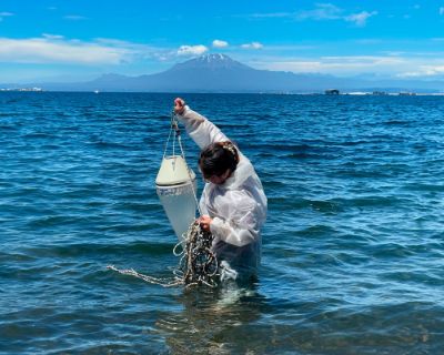 El estudio reveló preocupante son los altos niveles de coliformes fecales presenta temporalmente el Lago Llanquihue.